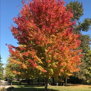 Meet your Posher, Armina